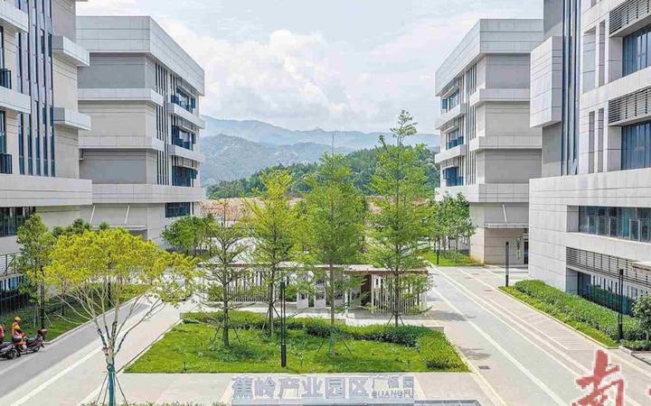 蕉岭县电子商务服务中心封面
