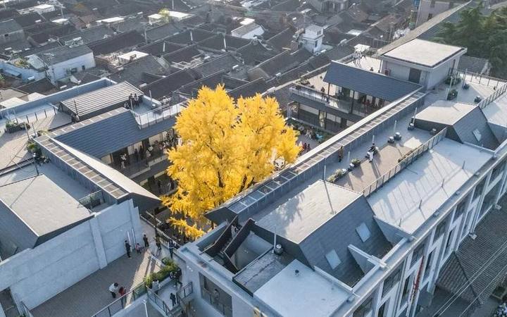 苏唱街1号数字游民+OPC融合社区封面